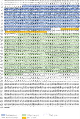 Molecular Identification of Anion Exchange Protein 3 in Pacific White Shrimp (Litopenaeus vannamei): mRNA Profiles for Tissues, Ontogeny, Molting, and Ovarian Development and Its Potential Role in Stress-Induced Gill Damage